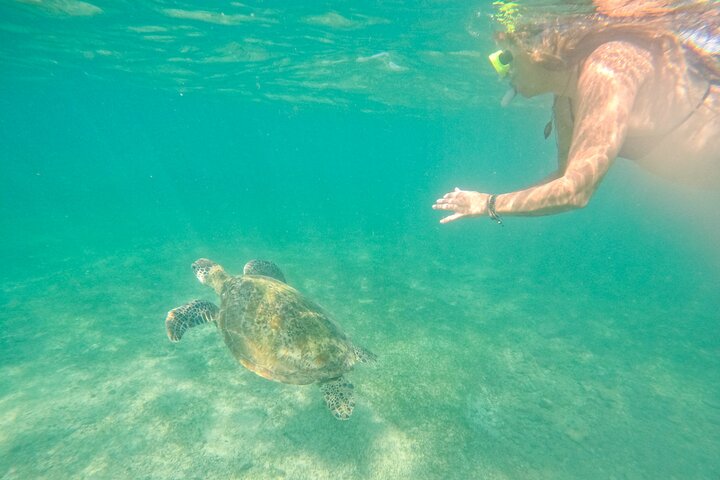 Snorkeling with Turtles in Mirissa