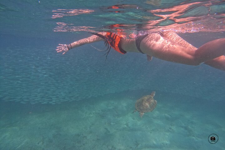 Snorkeling with Turtles in Mirissa