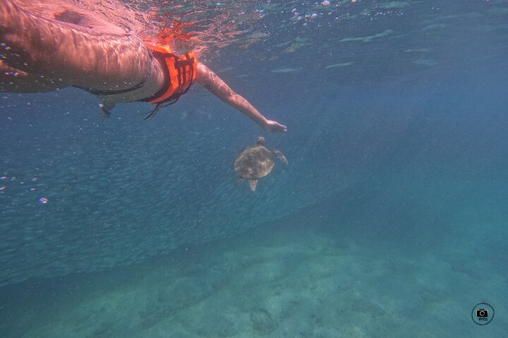 Snorkeling with Turtles in Mirissa