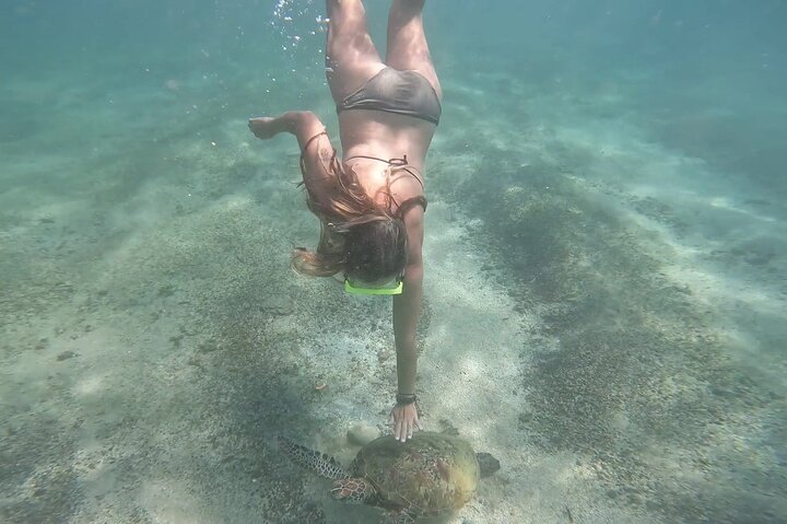 Snorkeling with Turtles in Mirissa