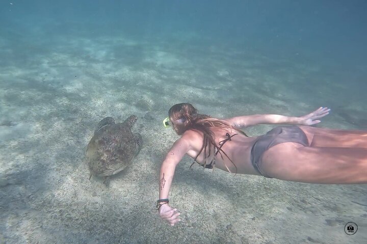 Snorkeling with Turtles in Mirissa