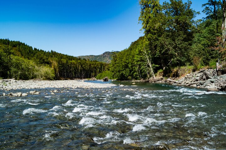 Olympic National Park Self-Guided Driving Audio Tour