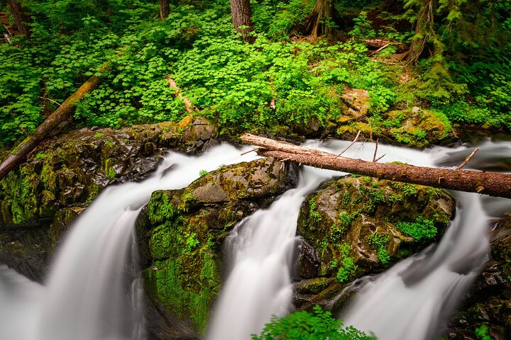 Olympic National Park Self-Guided Driving Audio Tour