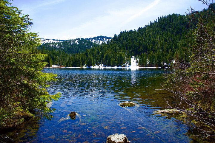 Olympic National Park Self-Guided Driving Audio Tour