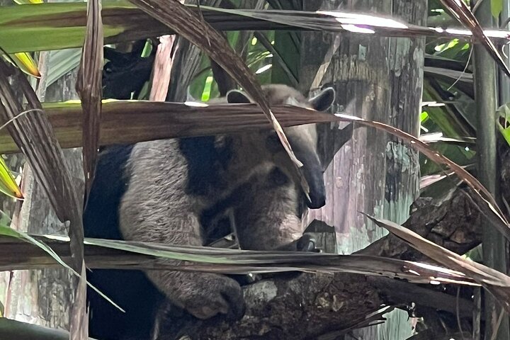 Soberania National Park Hike