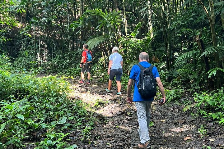 Soberania National Park Hike