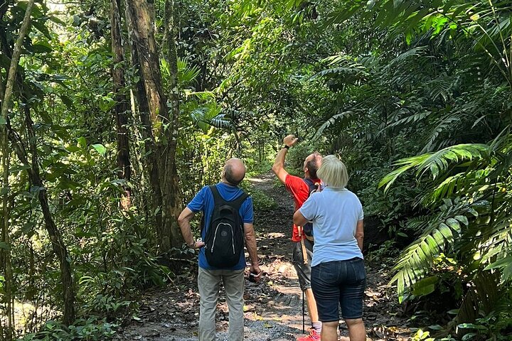 Soberania National Park Hike