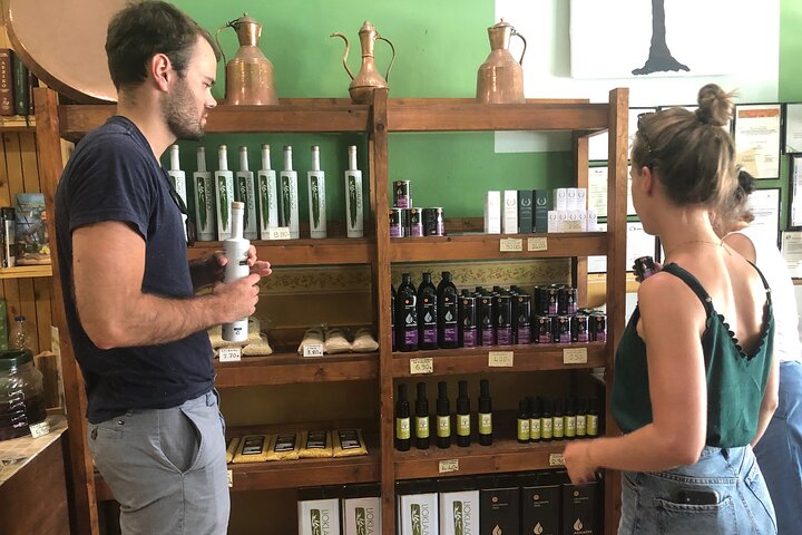 Organic Olive Grove tour & Olive oil tasting & lunch in Kalamata!