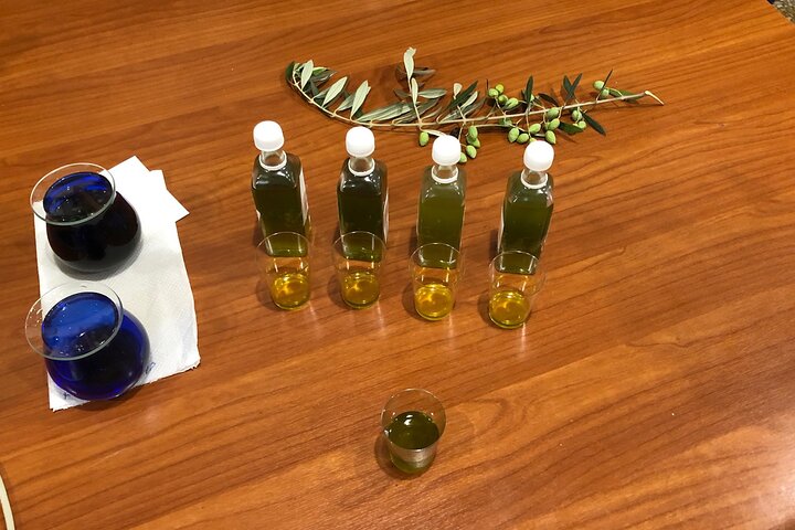 Organic Olive Grove tour & Olive oil tasting & lunch in Kalamata!
