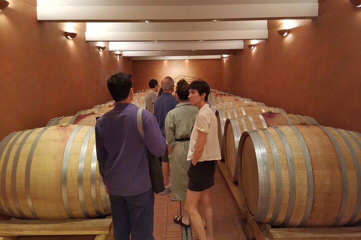Marseille Shore Excursion - Full Day Wine Tour in Provence