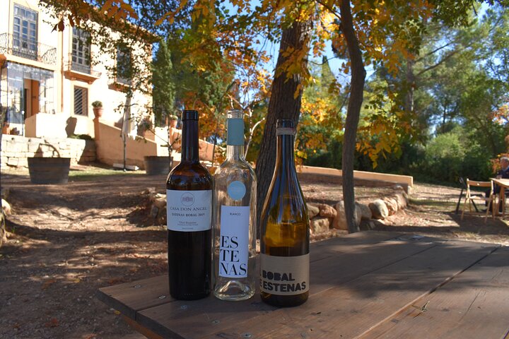 Valencia: Utiel-Requena Cave & Winery Day Trip with Tasting