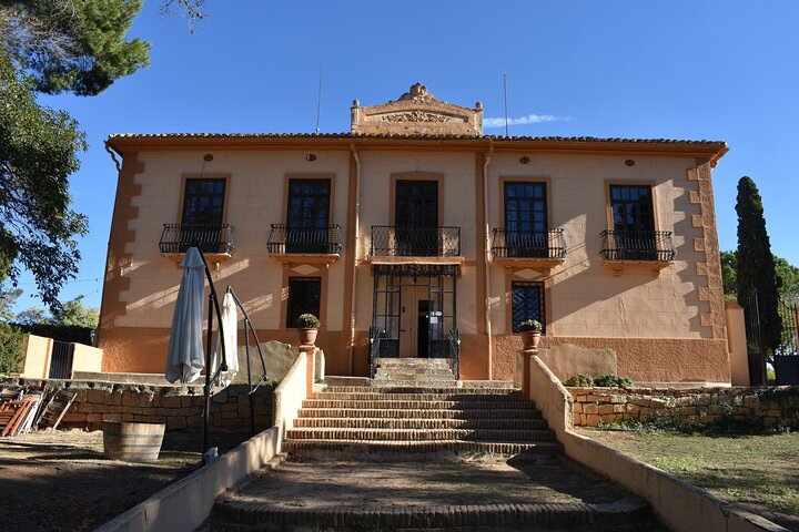 Valencia: Utiel-Requena Cave & Winery Day Trip with Tasting