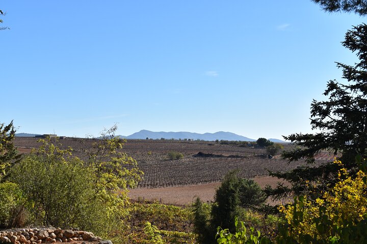 Valencia: Utiel-Requena Cave & Winery Day Trip with Tasting