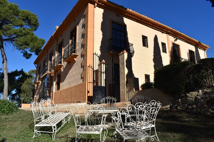 Valencia: Utiel-Requena Cave & Winery Day Trip with Tasting