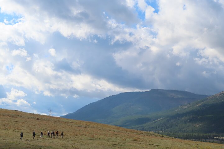 Lamar Valley Safari Hiking Tour with Lunch