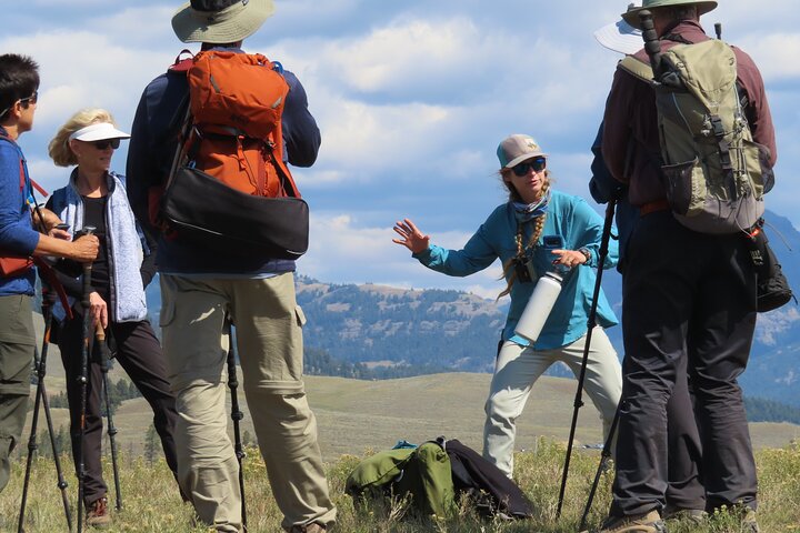 Lamar Valley Safari Hiking Tour with Lunch