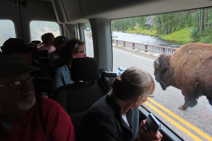Upper Loop Tour and Lamar Valley from West Yellowstone with Lunch