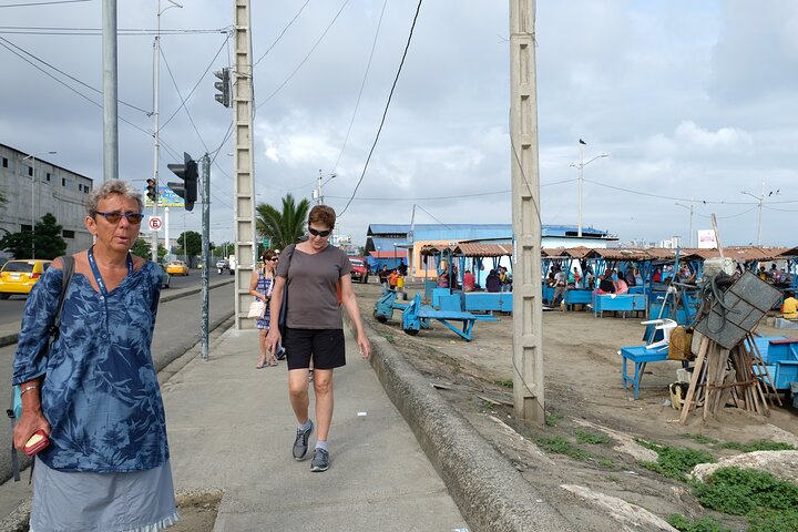 Montecristi & The Rain Forest