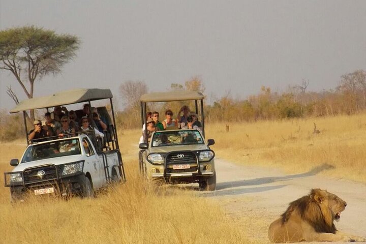 Hwange Park Big 5 Game Drive!