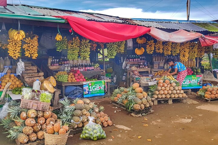 Discover Tagaytay's Countryside: Half-Day Sightseeing Tour