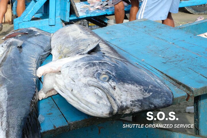 Manta's highlights & Montecristi Hats