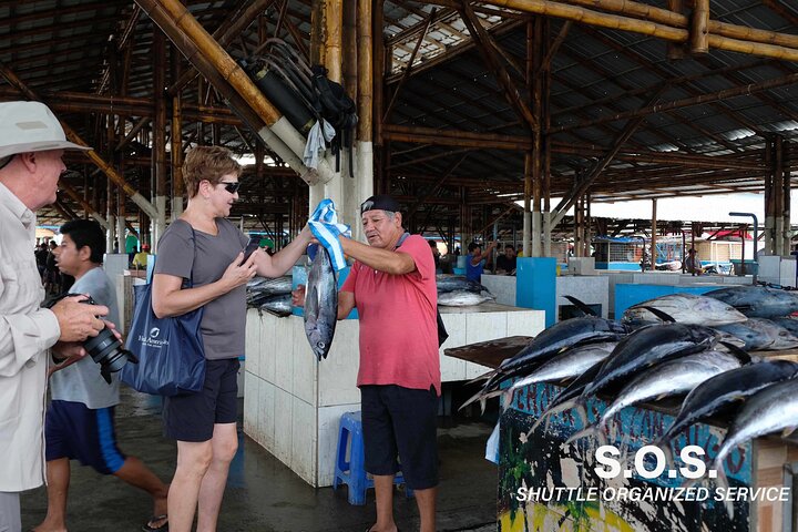 Manta's highlights & Montecristi Hats