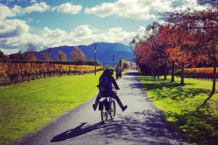 Self-Guided Wine Tours by Bike with Lorelle & Greg