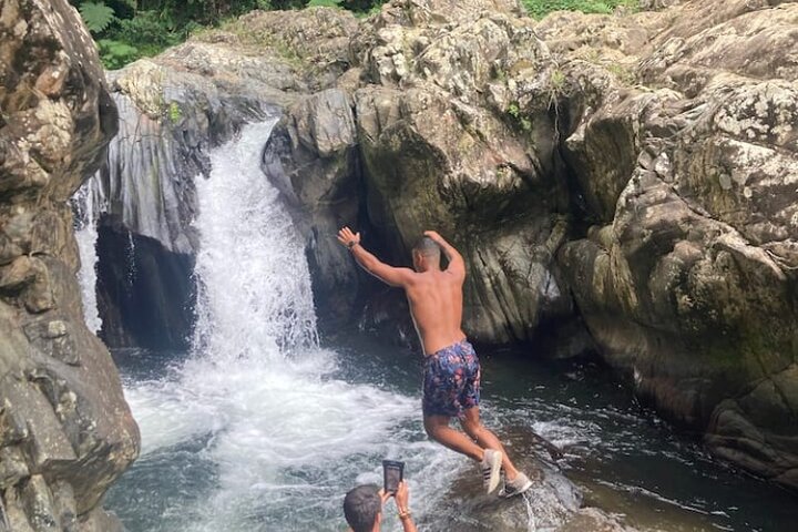 Immersive El Yunque Rainforest Adventure with Transportation