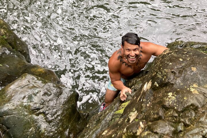 Immersive El Yunque Rainforest Adventure with Transportation