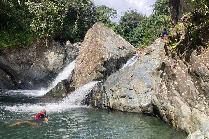 Immersive El Yunque Rainforest Adventure with Transportation