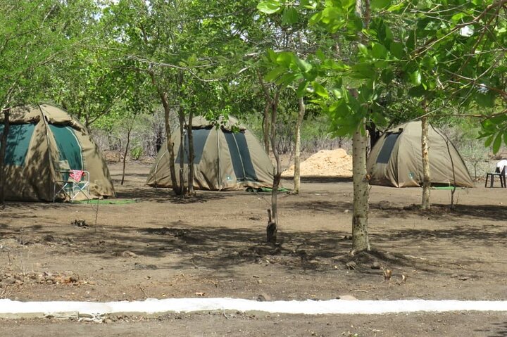 Chobe Safari Overnight Camping Trip