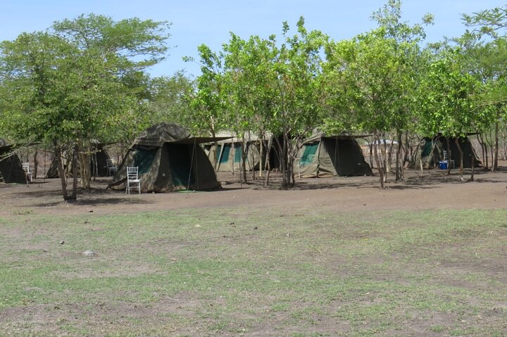 Chobe Safari Overnight Camping Trip