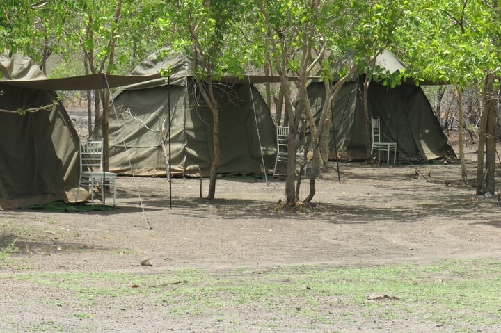 Chobe Safari Overnight Camping Trip