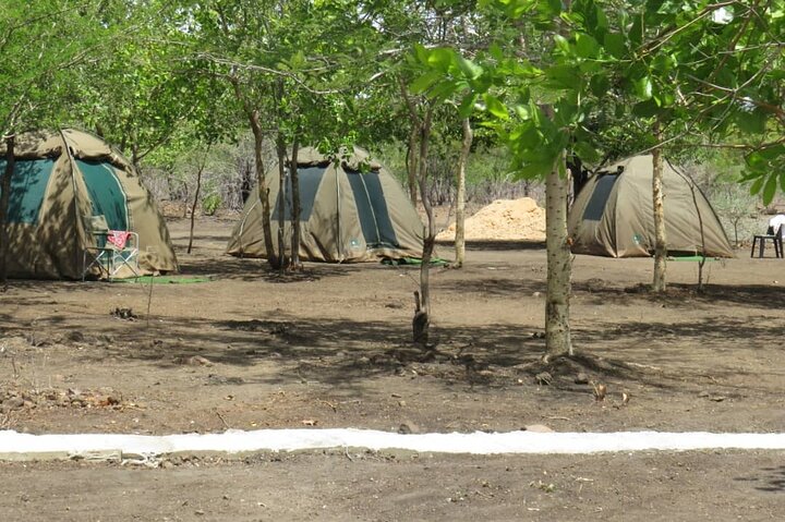 Chobe Safari Overnight Camping Trip