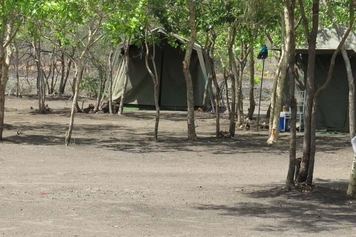 Chobe Safari Overnight Camping Trip