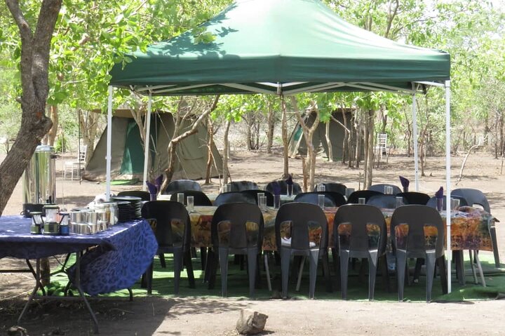 Chobe Safari Overnight Camping Trip