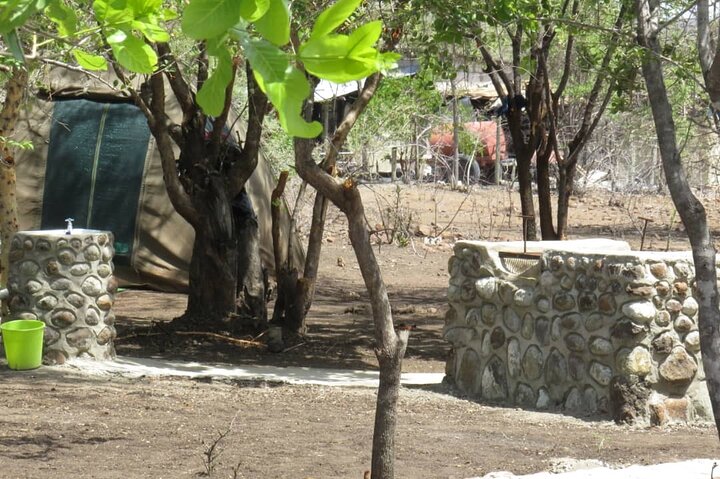 Chobe Safari Overnight Camping Trip