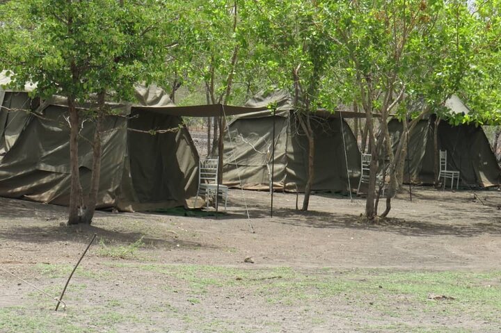 Chobe Safari Overnight Camping Trip