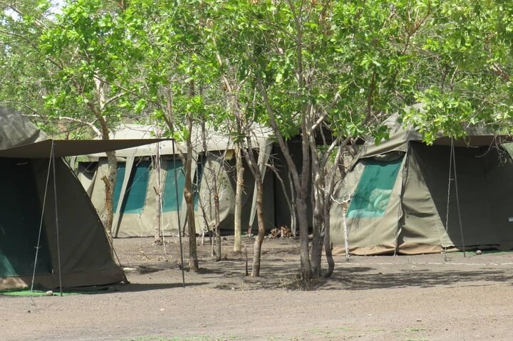 Chobe Safari Overnight Camping Trip