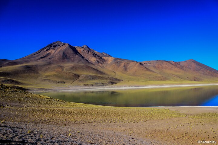 Piedras Rojas + Altiplanic Lagoons and Salar de Atacama