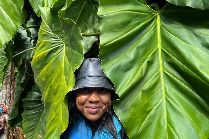 El Yunque Rainforest Waterslides, Waterfalls and Rope Swing