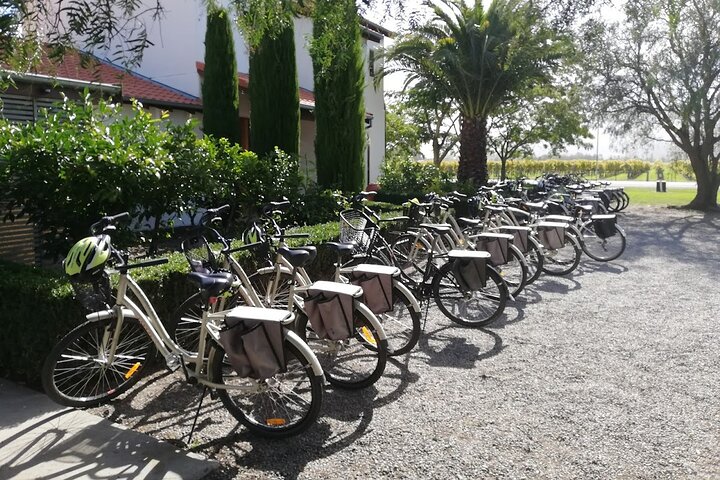 Self-Guided Wine Tours by Bike with Lorelle & Greg