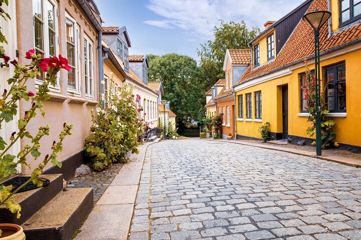 Private Heritage Walking Tour in Odense Old Town