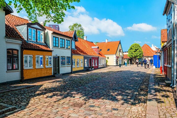 Private Heritage Walking Tour in Odense Old Town