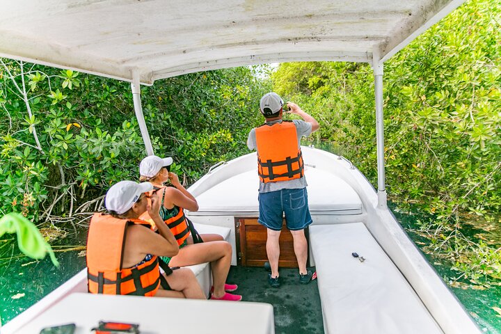 Bacalar Boat Tour and Visit to Cenotes