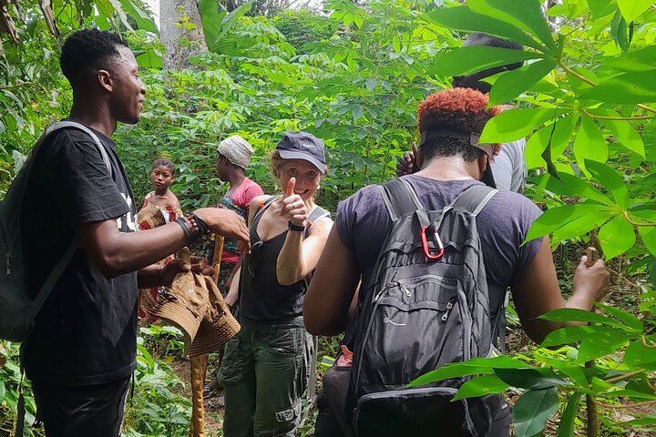 3-Day Tour in the Heart of Benin - Check-out Lomé or Cotonou