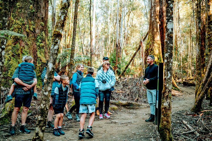 Day Tour in Mt. Field, Mt. Wellington, Bonorong Wildlife Sanctuary and Richmond