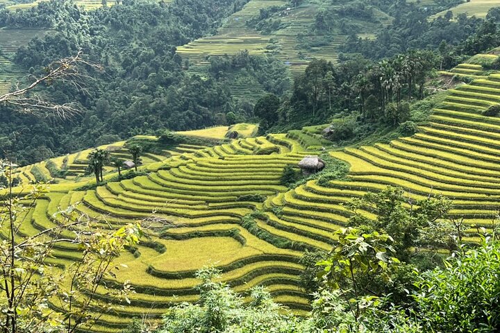 Ha Giang Loop 3D2N Easy Rider Tour (Small group 2-10)