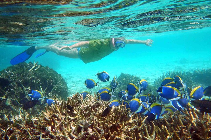 Maafushi: Full Day Snorkeling and Island Hopping Experience