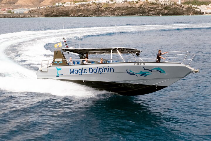 Morro Jable: 2 Hours Magic Dolphin & Whale watching with Drinks & Swim Stop.